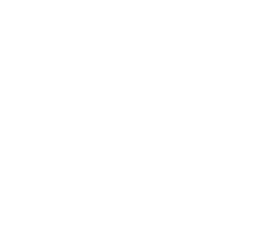 VM Deck and Fence Plus